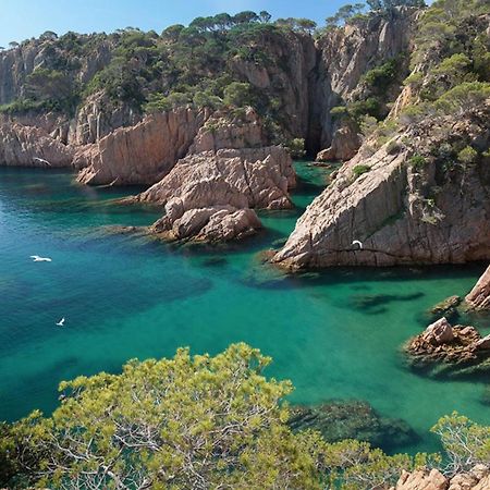 Nuevo Luminoso Apartamento Catalina A 80 Metros De La Playa Para 4 Personas Sant Feliu de Guíxols Exteriér fotografie