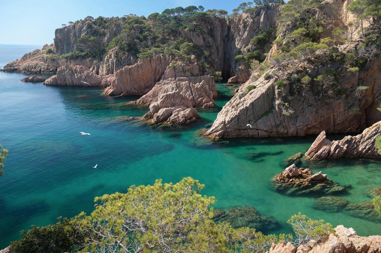 Nuevo Luminoso Apartamento Catalina A 80 Metros De La Playa Para 4 Personas Sant Feliu de Guíxols Exteriér fotografie