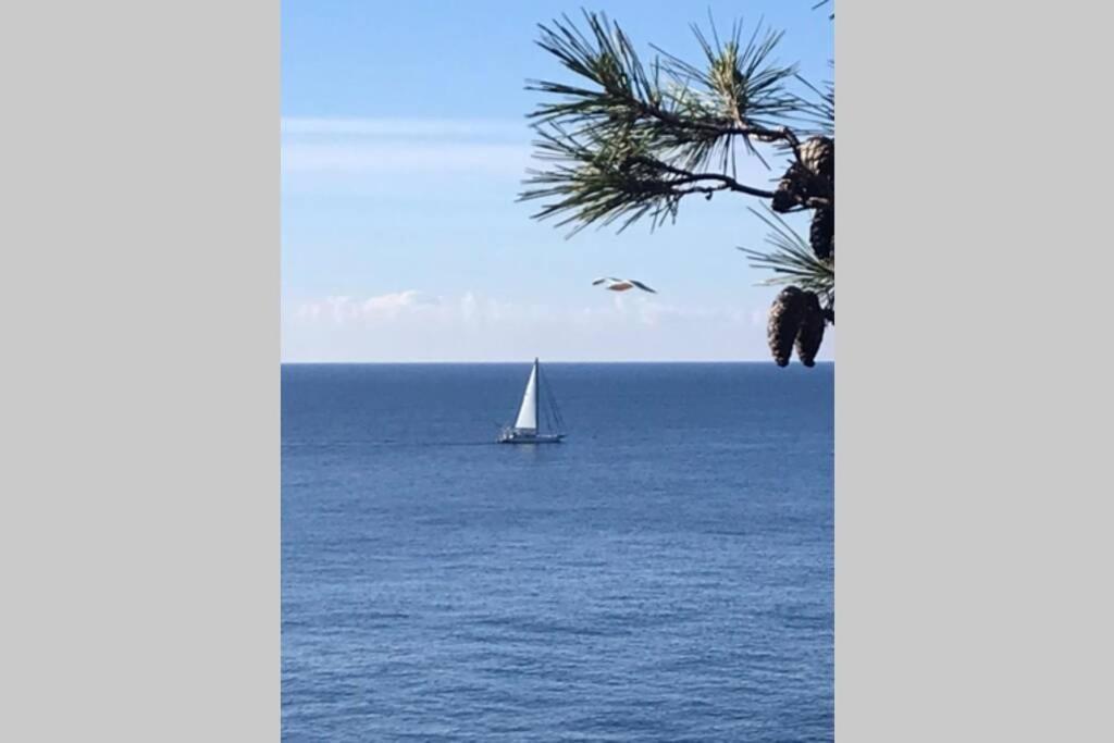 Nuevo Luminoso Apartamento Catalina A 80 Metros De La Playa Para 4 Personas Sant Feliu de Guíxols Exteriér fotografie